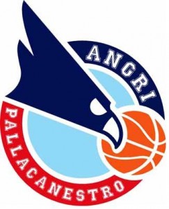 basket angri logo