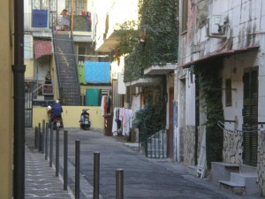 (Foto C. Di Paola) (2)