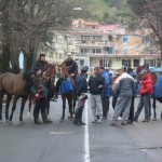 protesta cavalli ippodromo 9