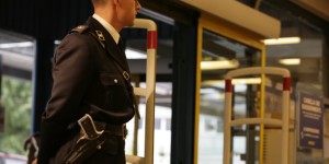 guardia giurata