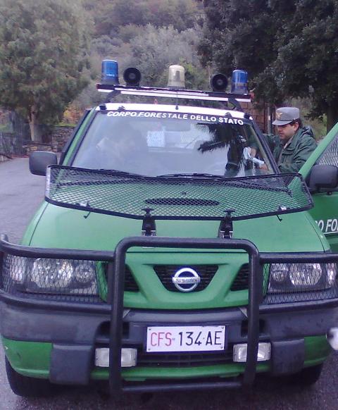 C.F.S. in azione