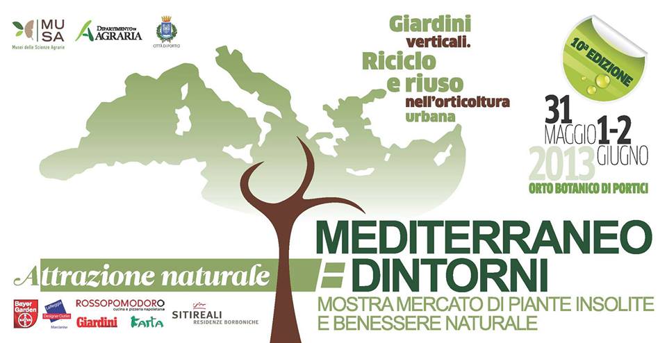 mediterraneo_dintorni