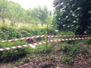 operazione corpo forestale 2