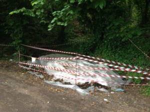 operazione corpo forestale 3