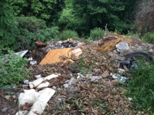 operazione corpo forestale 4