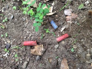 operazione corpo forestale 5