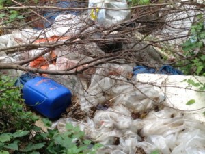 operazione corpo forestale 7