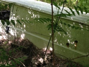 operazione corpo forestale furgone con fori proiettile