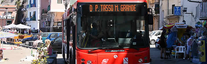 autobus sorrento