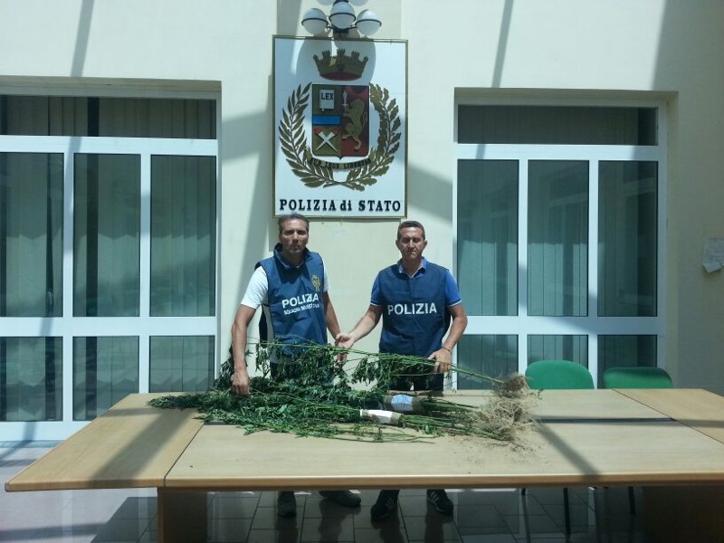 Castellammare marijuana