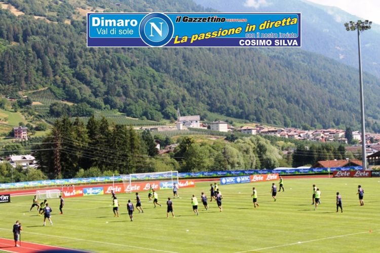 dimaro 2