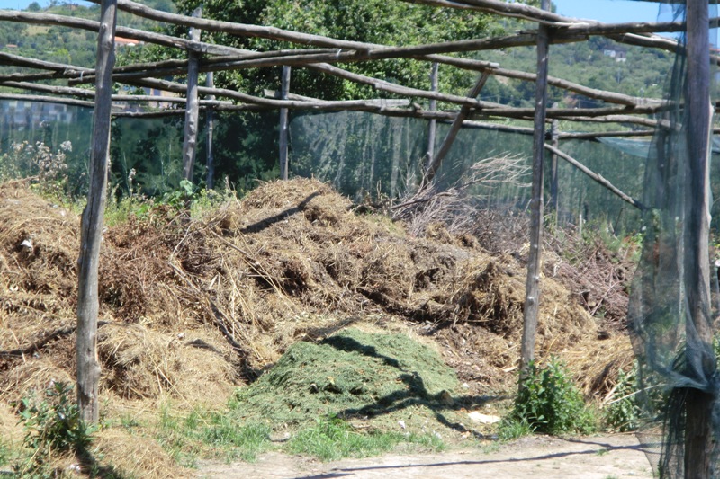 Massa_lubrense_discarica2