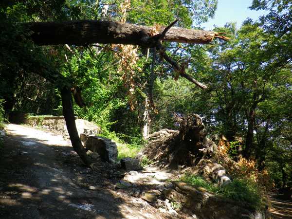 castellammare (2)
