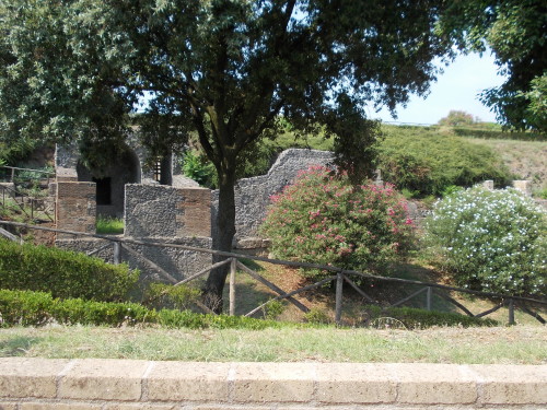 polaerq 002