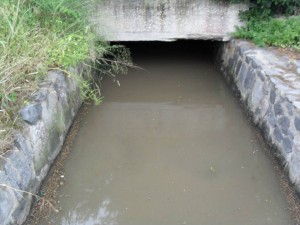 scarico fognario nel lago fusaro