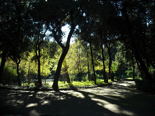 bosco di portici