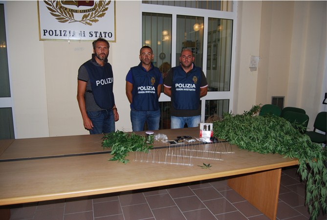 piante stabia