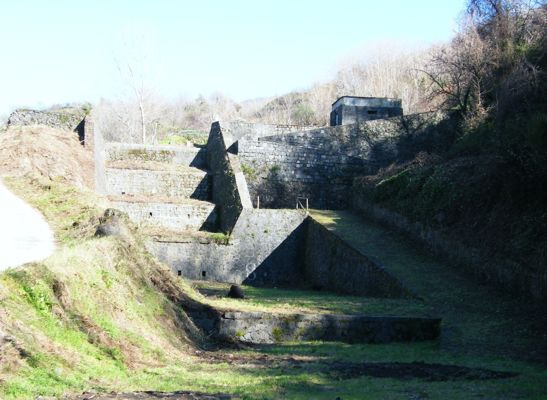 brigliaborbonica