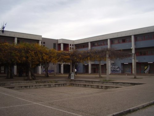 calamandrei