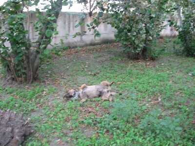 image-6