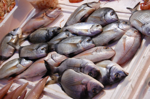 pesce