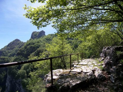 Monte_Faito_foto_Fontanella
