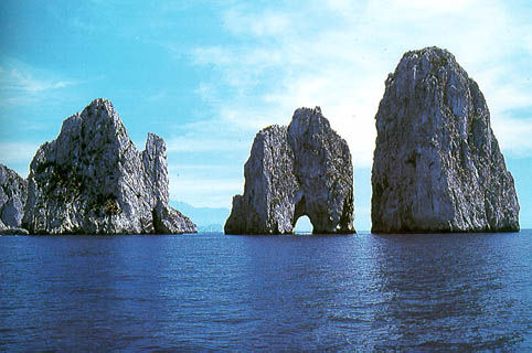 campania4