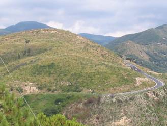 pisciotta