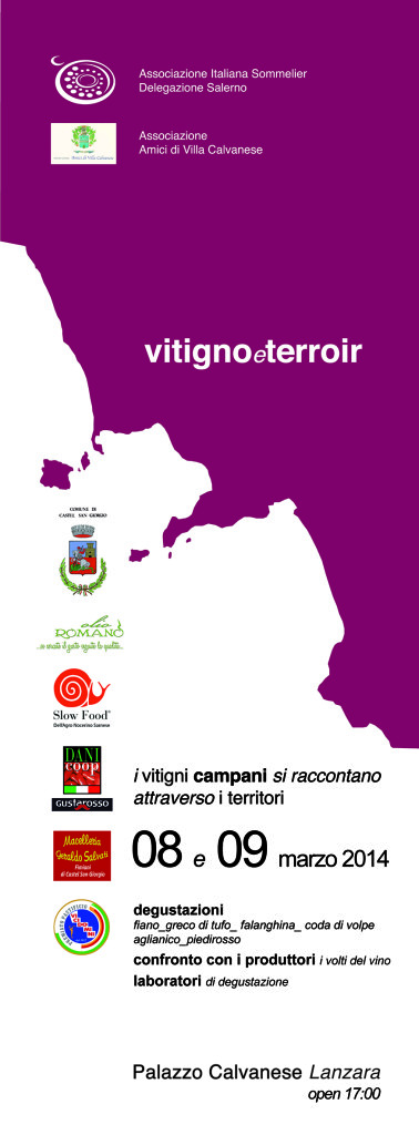 striscione vitigno 2014