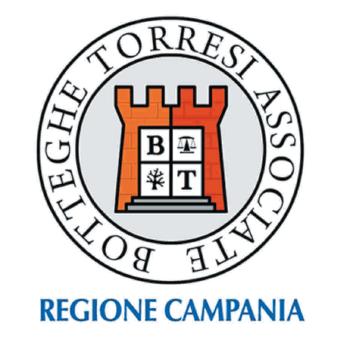 Logo Botteghe torresi