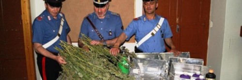 28.05.2014-CANNABIS-SEQUESTRATA-A-LETTERE-630x210
