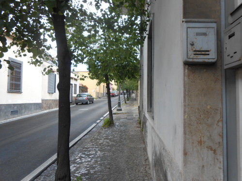 DSCN0785