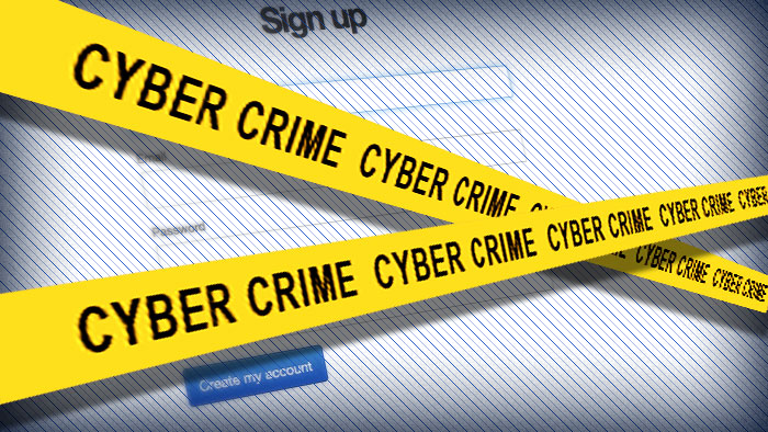 cyber crime