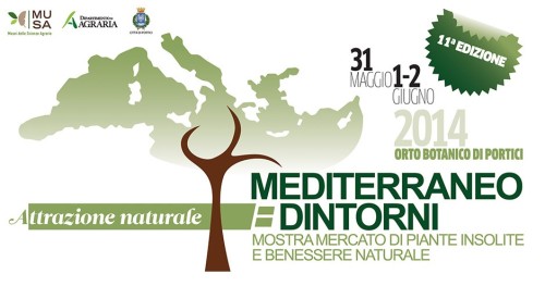 mediterraneo_e_dintorni