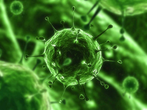 virus influenza