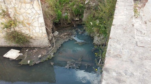 Mariconda 2