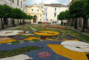 Ogliara_in_fiore