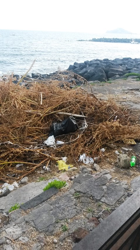 Via Napoli Oggi