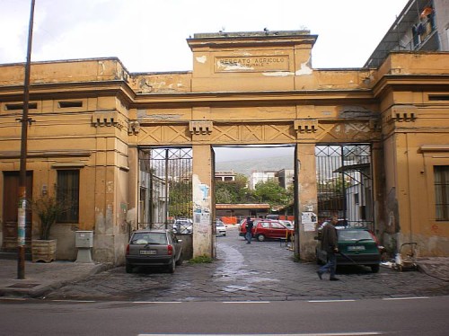 Mercato Ortofrutticolo tdg