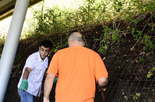 volontari radiose azioni3