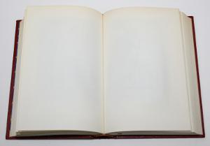libro bianco
