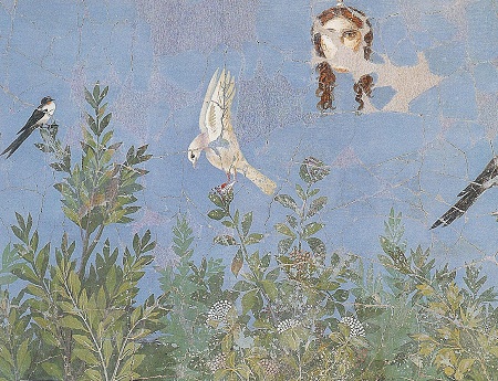 Affresco Casa del Bracciale d'oro - alloro