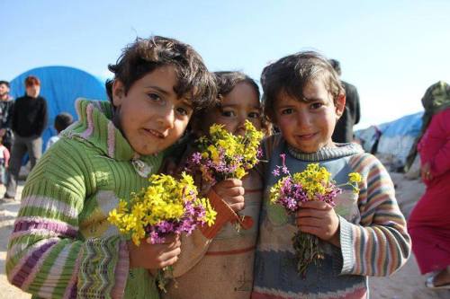 SIRIA3