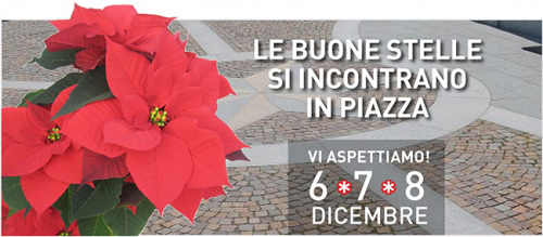 banner_stelle2014_home