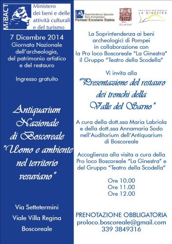 bozza tronchi