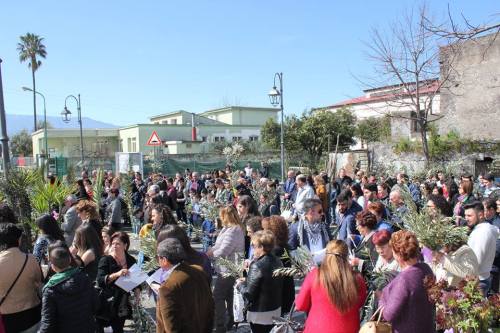 domenica delle palme