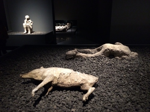 Mostra Corea 5