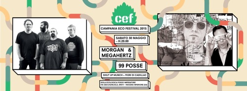 cef 2015