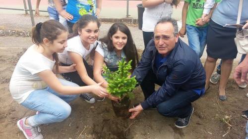ic leopardi
