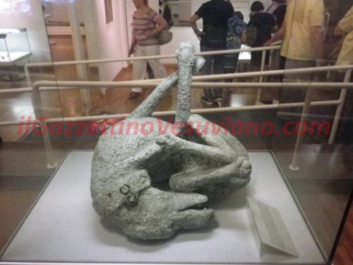 museo_boscoreale  (11)